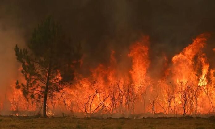 France and Spain Battle 'Monster' Wildfires Ahead of New Heatwave Firefighters battle massive wildfires as flames spread through forests in France and Spain.